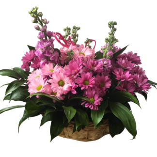 Purple love flower basket